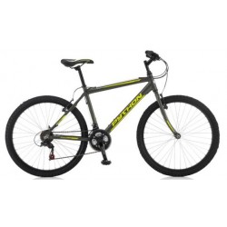 Python Rock 26 Mountain Bike 2021